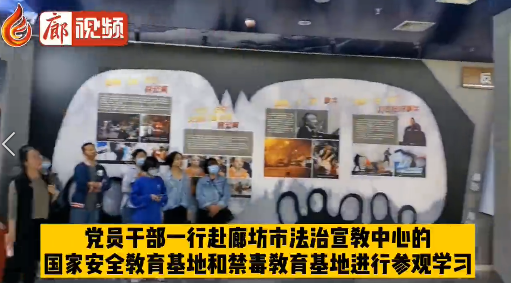 廊视频 | 廊坊市妇联全体党员开展“主题党日”活动