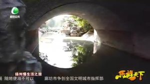 乐游天下 20201016