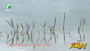 乐游天下 20201113