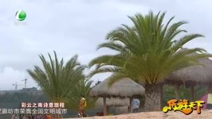 乐游天下 20201127