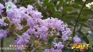 乐游天下 20210101