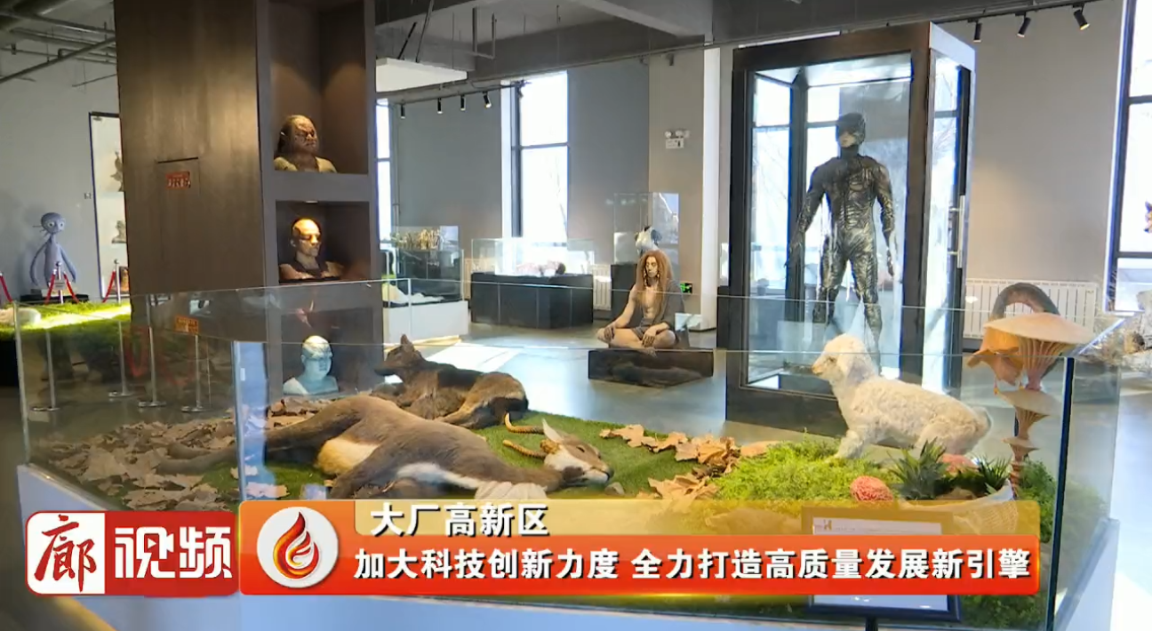 廊视频丨大厂高新区：加大科技创新力度全力打造高质量发展新引擎