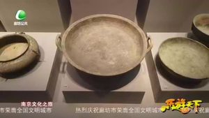 乐游天下 20210108