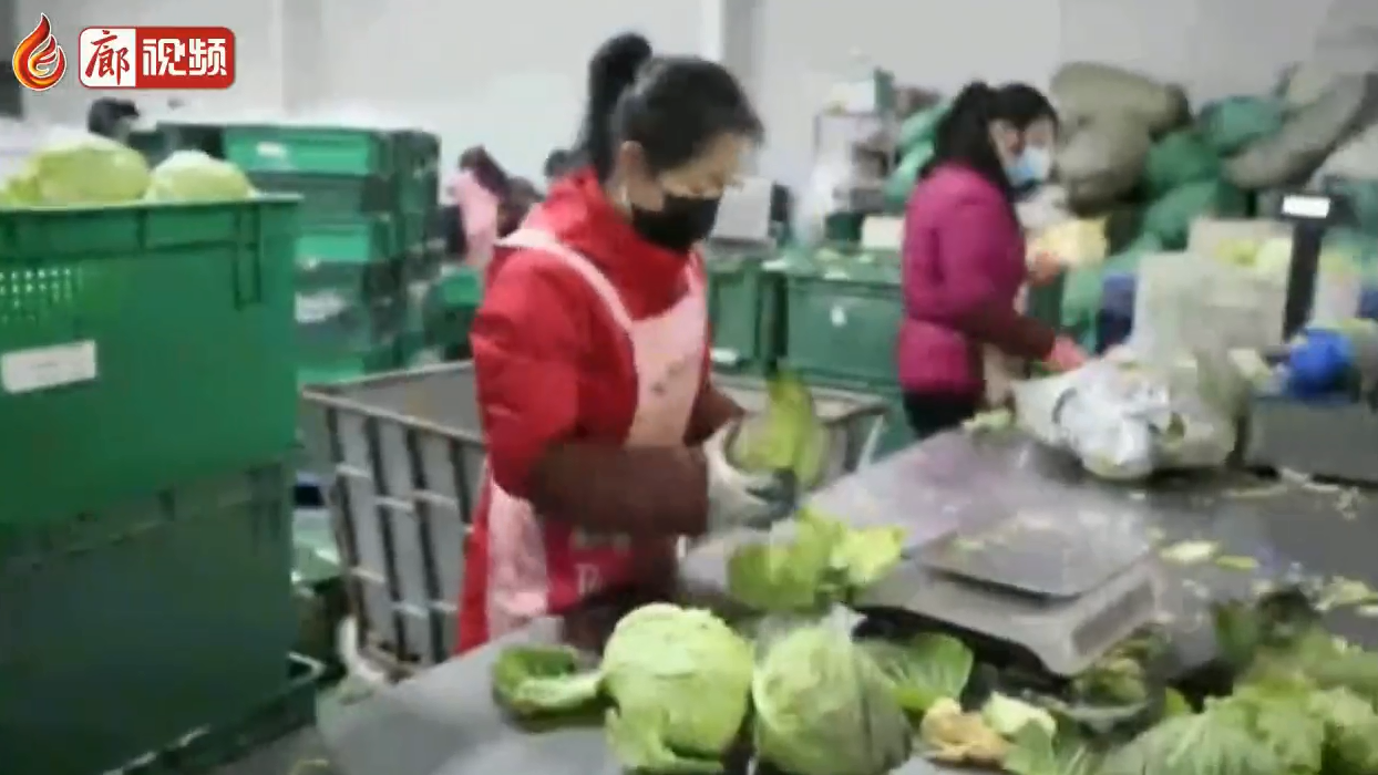 廊视频 | 河北固安实行封闭管理保障生活必需品供应