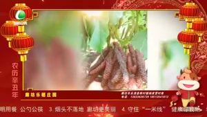 【牛气冲天·话年俗】正月初二 迎婿日