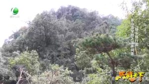 乐游天下 20210312