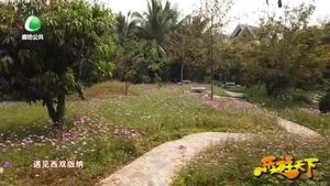 乐游天下 20210402