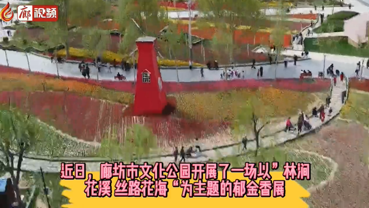 廊视频 | 廊坊市文化公园与52万株郁金香相约一场春之盛宴