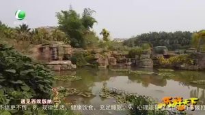 乐游天下 20210423