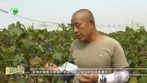 廊坊生活帮 20210924