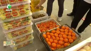 廊坊生活帮 20210925