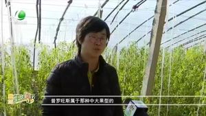 廊坊生活帮 20220115