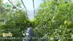 廊坊生活帮 20220131