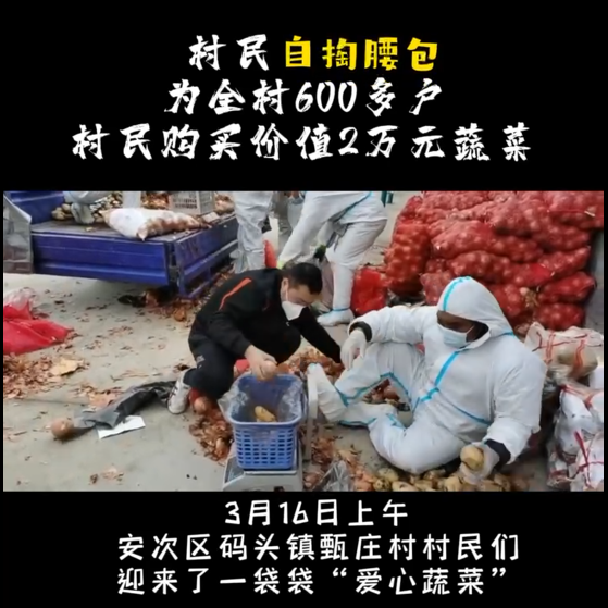 村民自掏腰包为全村600多户村民 购买价值2万元蔬菜