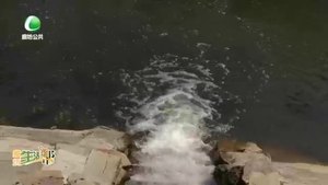 廊坊生活帮 20220520