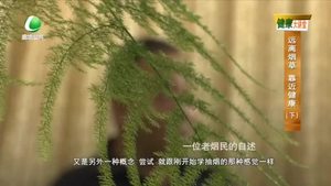 乐游天下 20220708