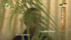 健康大讲堂 20221008