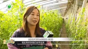 廊坊生活帮 20230128