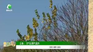 廊坊生活帮 20230204