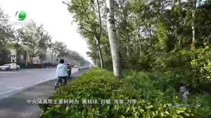 园林廊坊 20230923