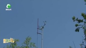 寒露节气:秋浓露凝气爽风凉 注意防寒保暖