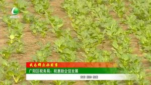 廊坊生活帮 20231016