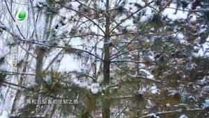 园林廊坊 20231223