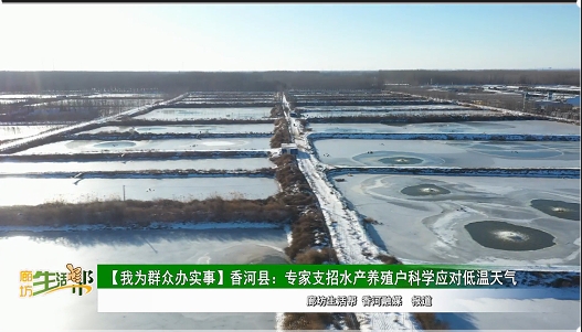 【我为群众办实事】香河县：专家支招水产养殖户科学应对低温天气