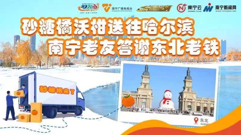 砂糖橘沃柑送往哈尔滨 南宁老友答谢东北老铁