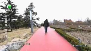 园林廊坊 20240309