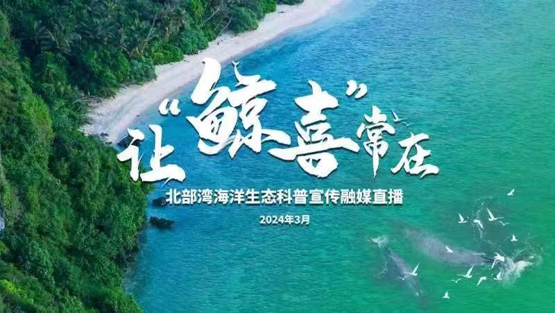 让“鲸喜”常在——北部湾海洋生态科普宣传融媒直播直播