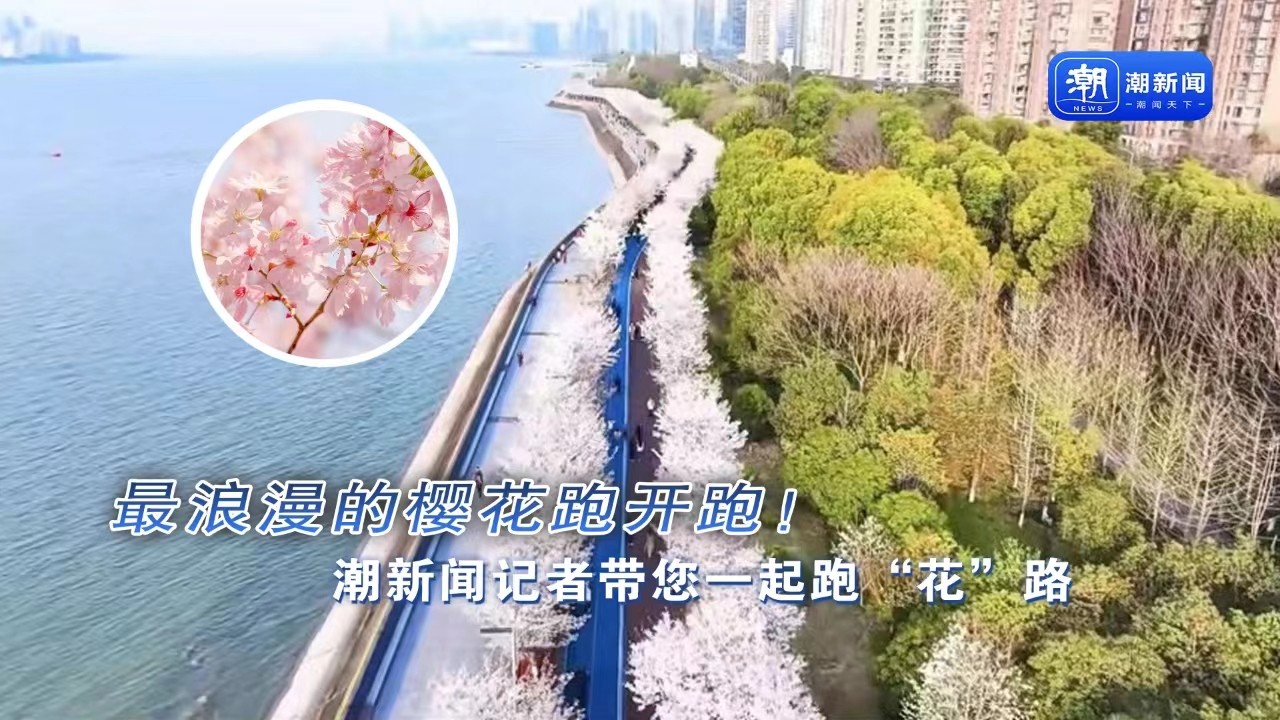 最浪漫的樱花跑开跑！潮新闻记者带您一起跑“花”路