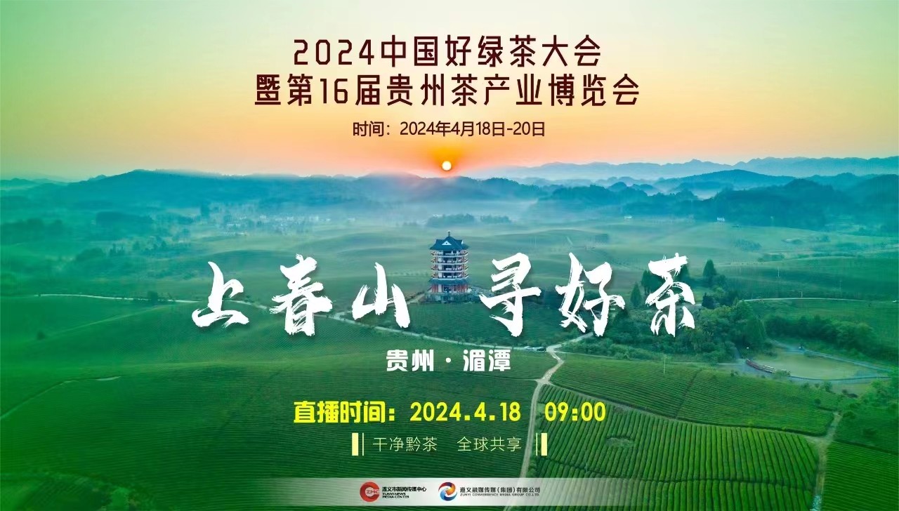 “上春山 采春茶”2024来遵义湄潭，一起采春茶