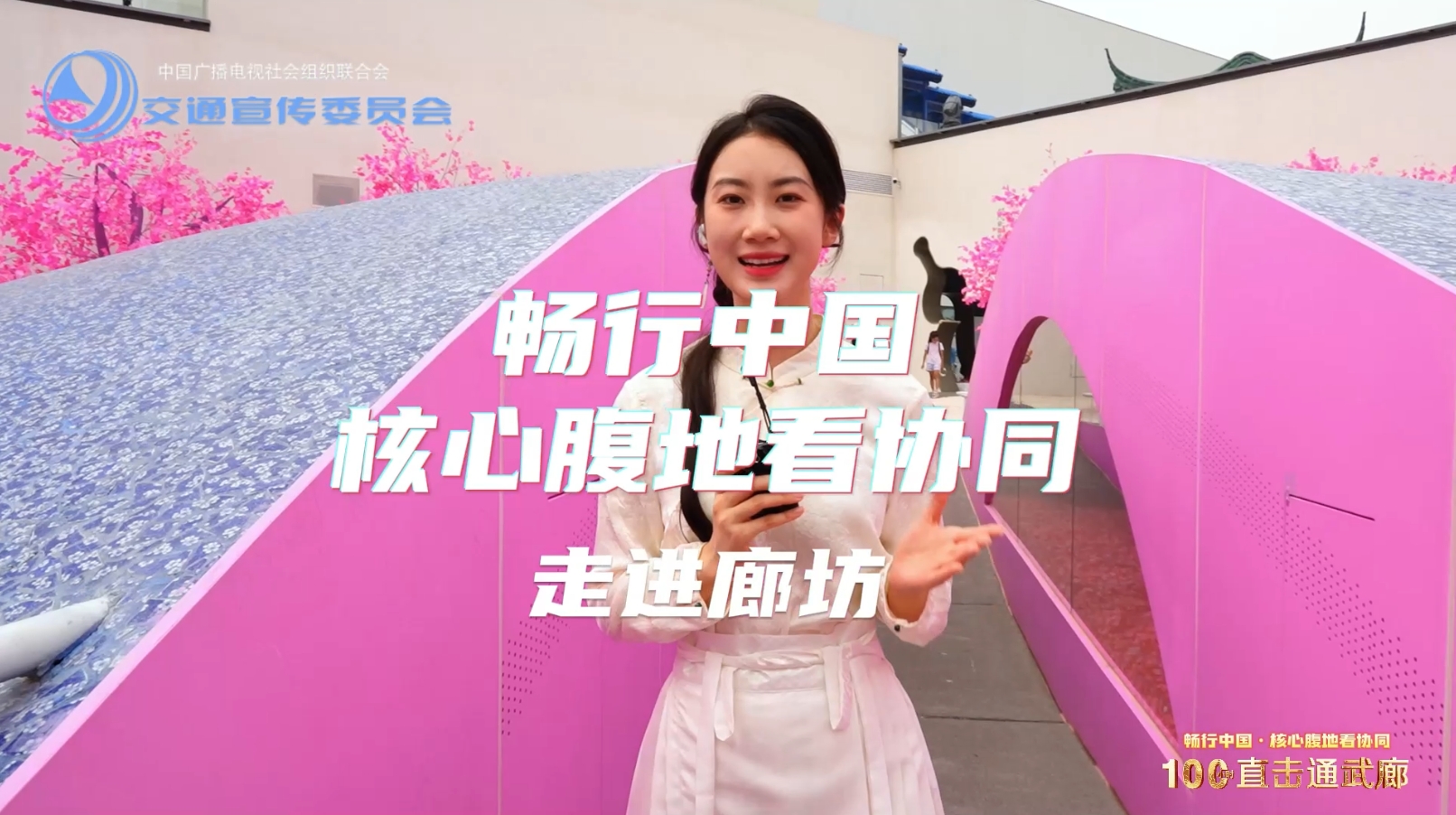 核心腹地看协同·走进廊坊——千年运河 十年蝶变