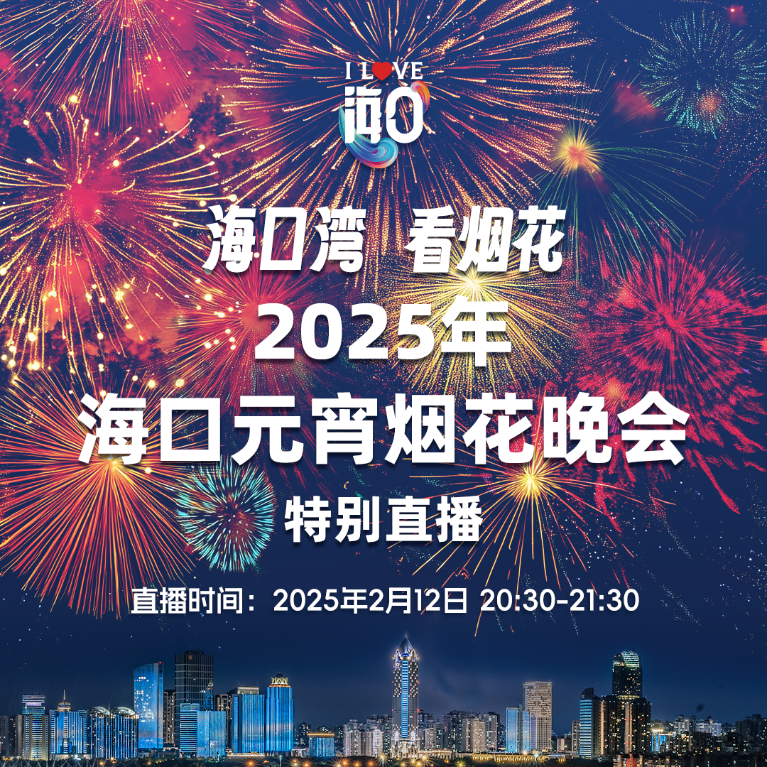 2025年海口元宵烟花晚会特别直播