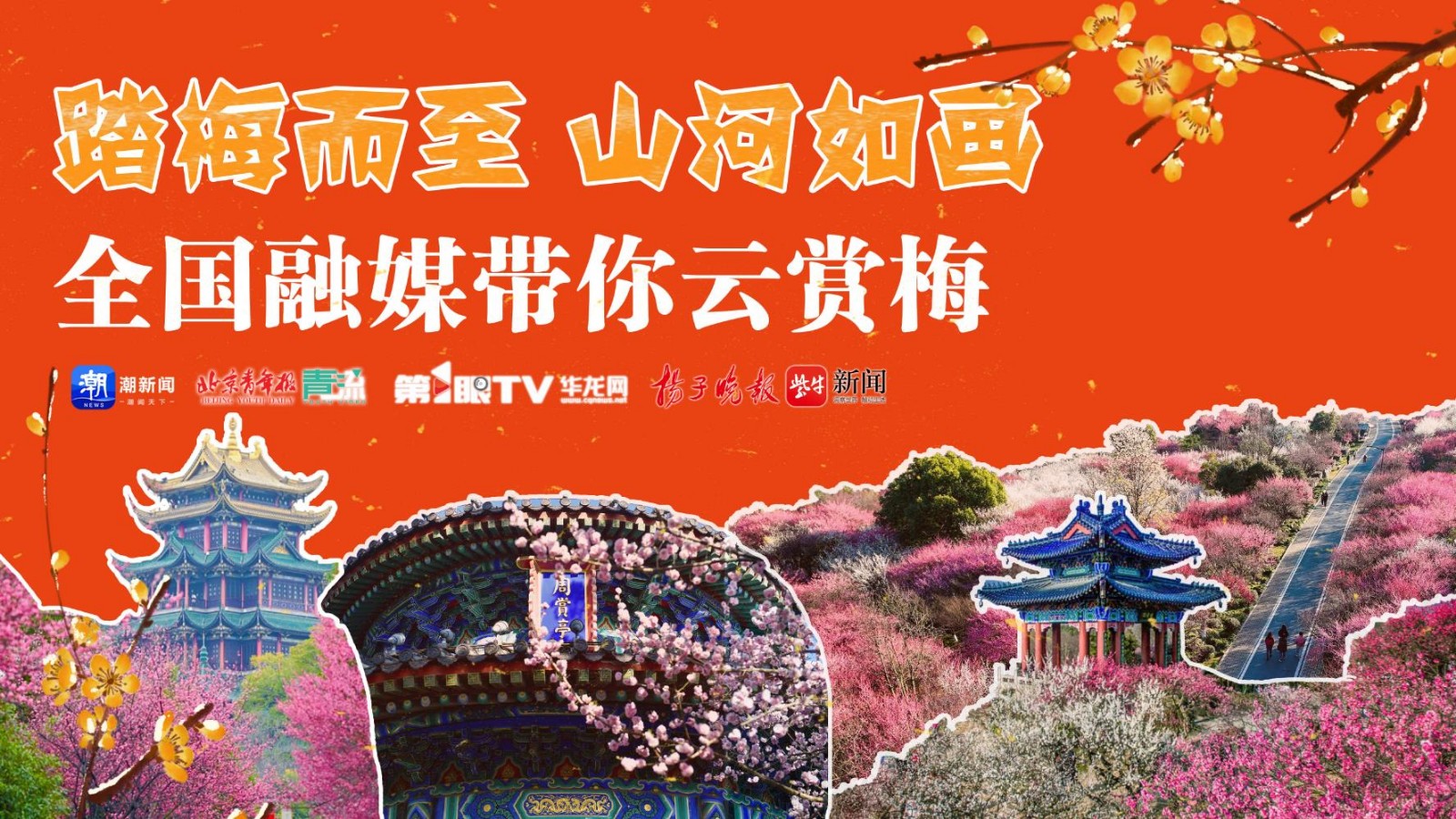 踏梅而至 山河如画 全国融媒带你云赏梅