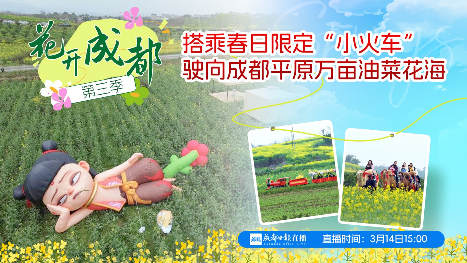 花开成都大联播： 搭乘春日限定“小火车” 驶向成都平原万亩油菜花田