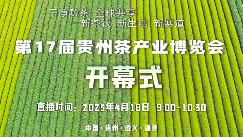 干净黔茶 全球共享丨第17届贵州茶产业博览会开幕式