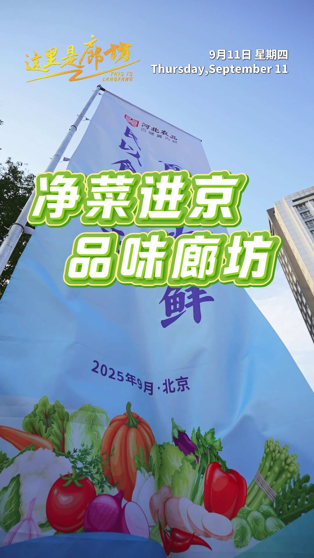 【这里是廊坊】净菜进京 品味廊坊