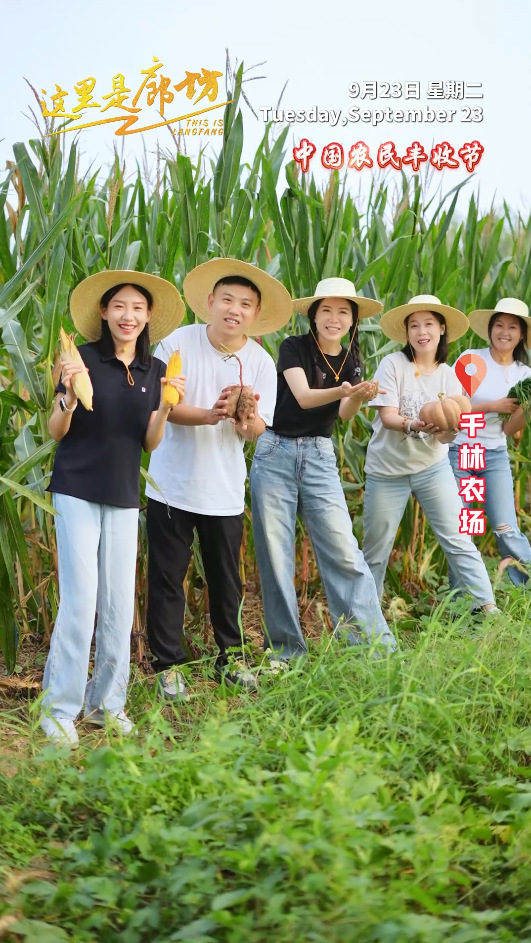 【这里是廊坊】这是希望的田野 这是丰收的廊坊