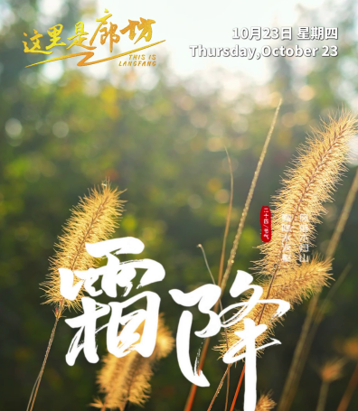 【这里是廊坊】霜降