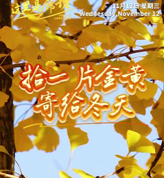 【这里是廊坊】拾一片金黄寄给冬天