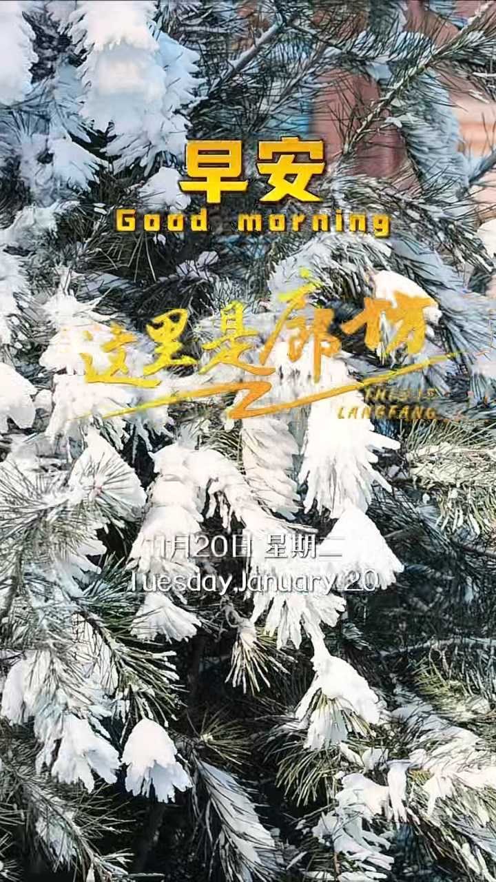 【这里是廊坊】今日大寒