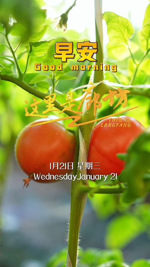 【这里是廊坊】愿你日子红火 好运翻番